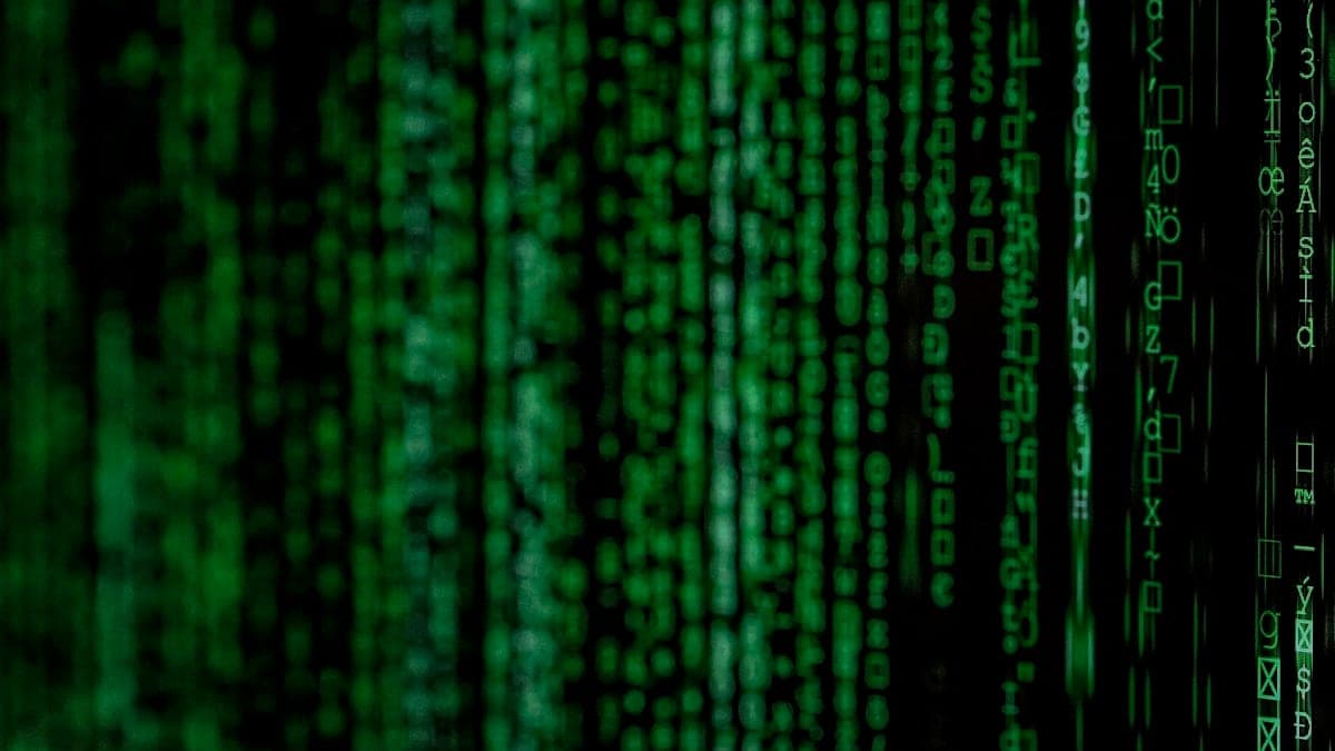 Selling Followers or Hacked Accounts