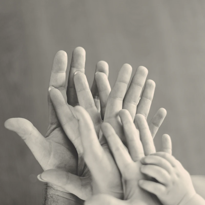 Family Law & Divorce